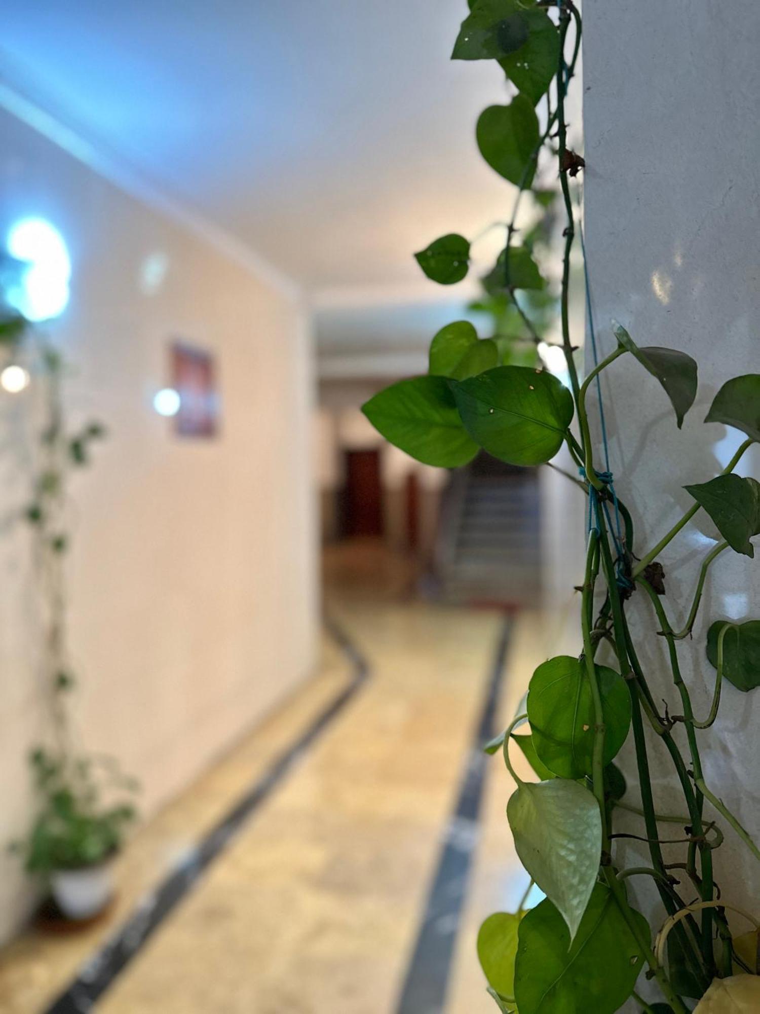 Casa Central Tétouan Exterior foto